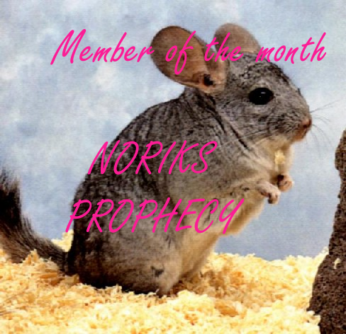 memberofmonth_1.png