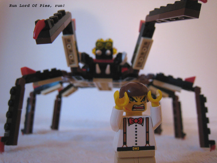 spider_10_copy.jpg