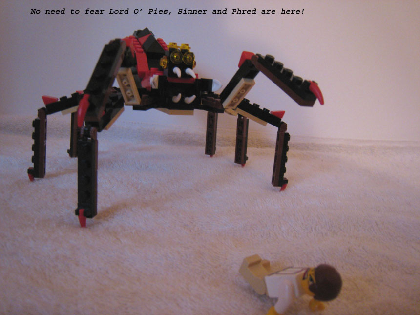 spider_11_copy.jpg