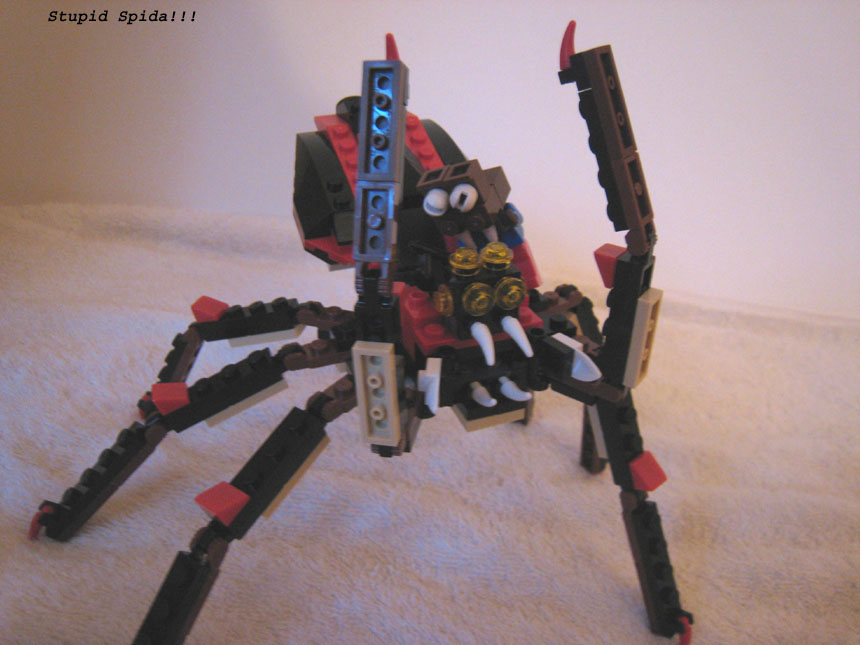 spider_15_copy.jpg