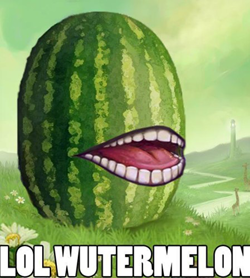 lolwutermelon.png