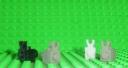 bunny2.jpg_thumb.jpg