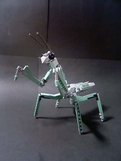 mantis001.jpg