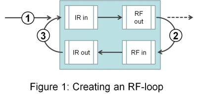 figure1_loop.jpg