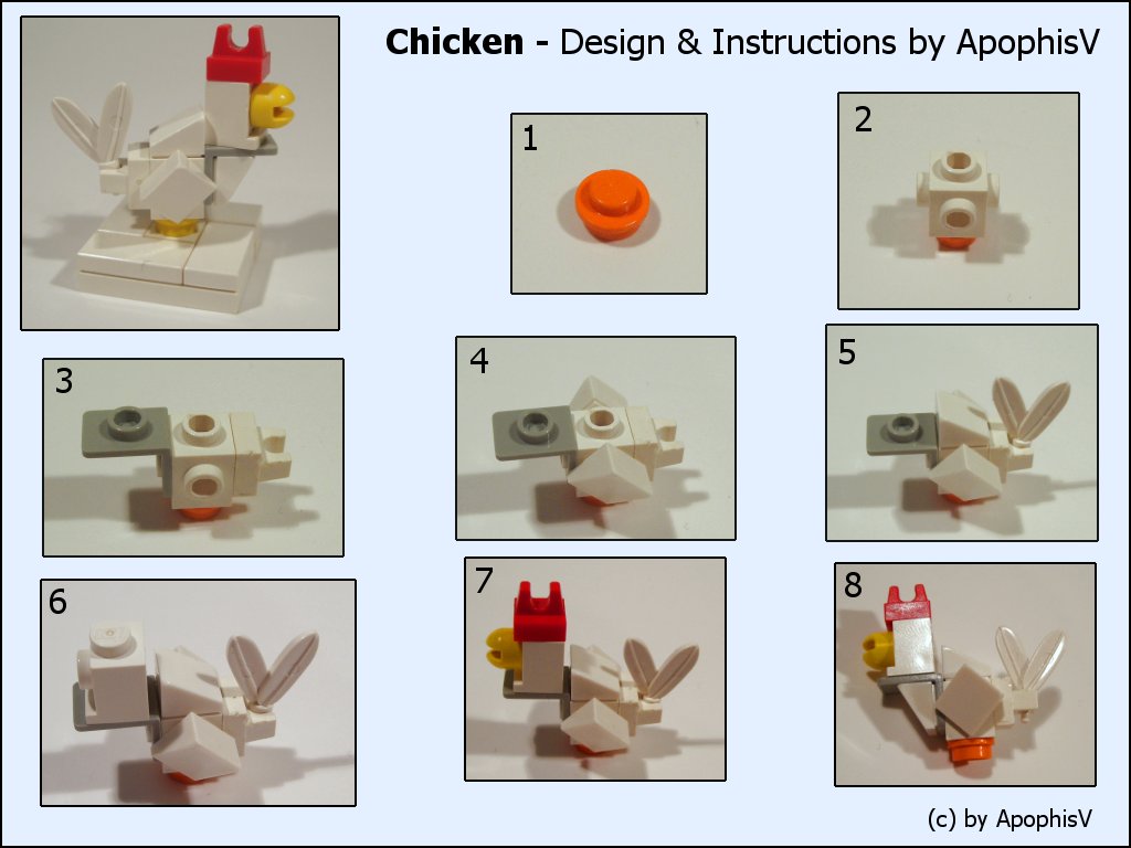 chicken_instructions.jpg