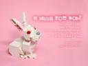 Animal00a-Rabbit3