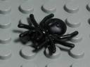 spider-black.jpg
