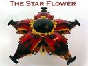 00-the-star-flower-splash.jpg