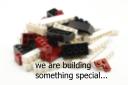 02-march-2011_we_are_building.jpg