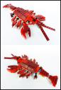 6914Crayfish