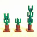 cactus06.jpg